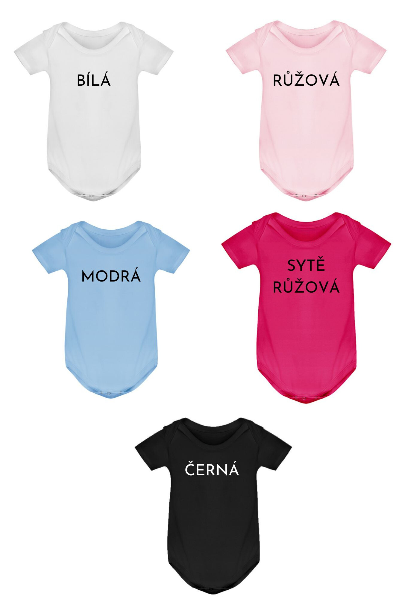 paleta body